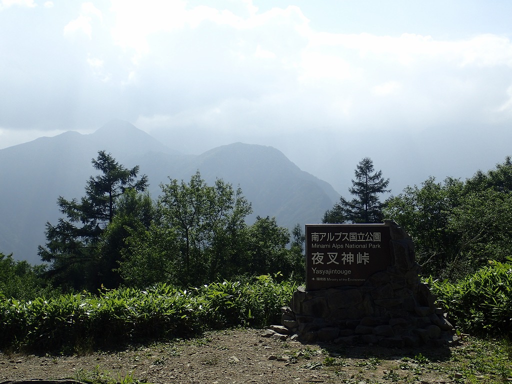 2015年度 夏山合宿 夜叉神〜鳳凰・仙丈ヶ岳の写真（8月9日）